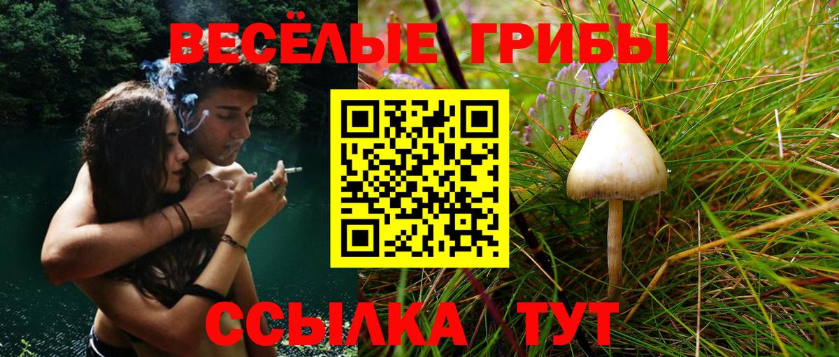 Галлюциногенные грибы GOLDEN TEACHER Электрогорск