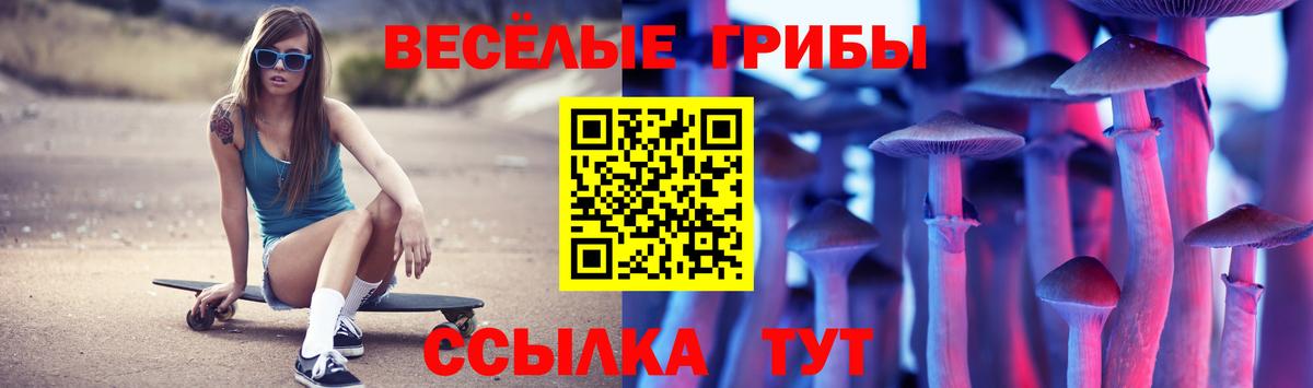 Псилоцибиновые грибы мухоморы  Вход с VPN  Электрогорск 